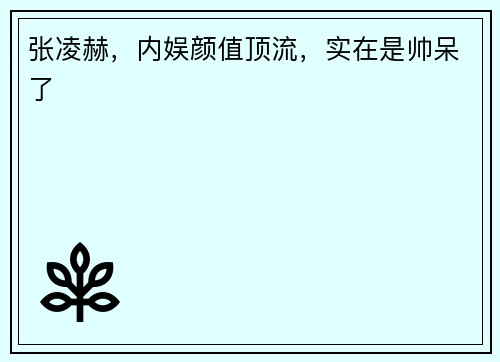 张凌赫，内娱颜值顶流，实在是帅呆了