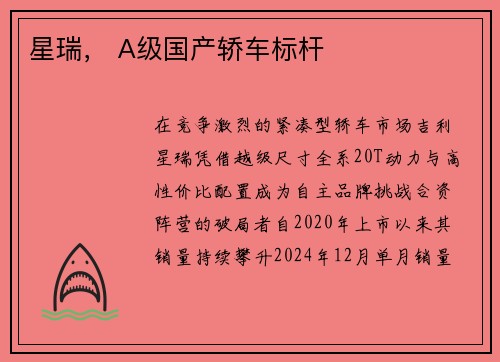 星瑞， A级国产轿车标杆