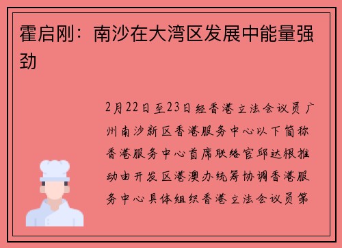 霍启刚：南沙在大湾区发展中能量强劲