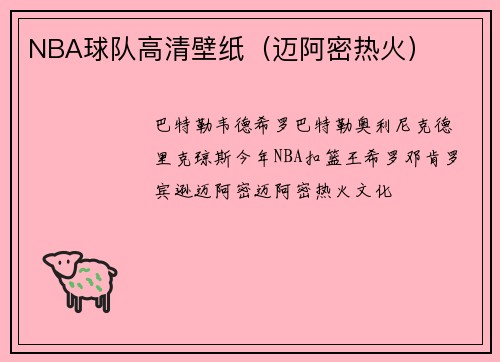 NBA球队高清壁纸（迈阿密热火）